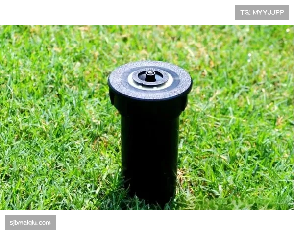 智能灌溉系统助力高尔夫赛事草坪养护管理